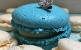 Macaron Roquefort Papillon