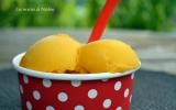 Sorbet mangue citron vert