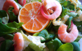 Salade aux crevettes et aux agrumes