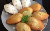 Madeleine façon Mojito