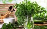 Ces herbes aromatiques que l'on devrait toujours avoir dans le jardin ou sur son balcon