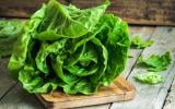 Santé : cette habitude avec la salade peut favoriser le développement de la bactérie Escherichia coli !