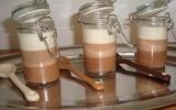 Panna cotta aux 3 chocolats