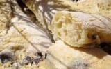 Fougasse à l'origan, aux olives et au parmesan