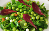 Salade de petits pois frais au mesclun