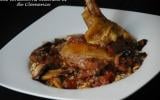 Poulet aux champignons, sauce au vin rouge