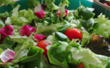 Salade pour les gourmands