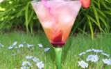 Cocktail du jardin