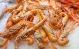 Comment réussir la cuisson des langoustines ? 3 conseils simples et pratiques