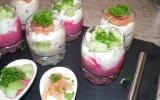 Verrine de betterave et concombre