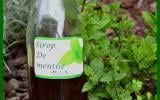 Sirop de menthe