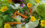 Salade de mon jardin secret