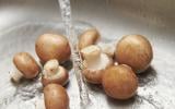 Faut-il laver ses champignons ?