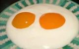Dessert d'abricots façon œufs au plat