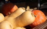 Potimarron ou butternut : quelle courge est la plus intéressante pour la santé ?