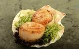 Coquille Saint-Jacques