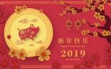 Envie de faire la fête ? Préparez avec nous le Nouvel An Chinois 2019 !