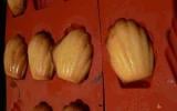 Madeleines au miel simples et bonnes