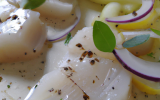 Carpaccio de haddock