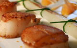 Coquilles Saint-Jacques et asperges du Blayais grillées, maltaise mandarine et cardamome