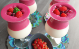 Mousse aux fruits rouge