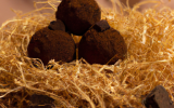 Truffes en nid de chocolat