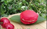 Macarons coquelicot / cerise