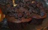 Cupcakes chocolat pralinoise