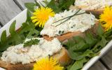 Rillettes de poulet aux fines herbes