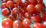 Tomates cerises pommes d'amour