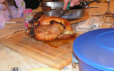 Dinde de Thanksgiving