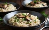 Risotto au poulet au Companion