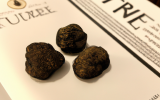 Les truffes Côte d'Or