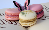 Macarons Papillon