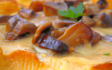 Gratin dauphinois aux girolles