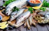 Quels sont les poissons de saison en hiver ?