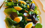 Salade de printemps