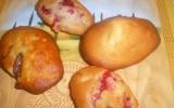 Madeleines aux fruits