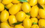 Au frigo ou à température ambiante : quelle est la meilleure option pour conserver longtemps ses citrons ?