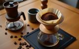 Marc de café au jardin : l'erreur que beaucoup font avec leurs plantes
