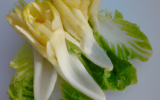 Endive surprise