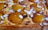 Tarte briochée aux abricots maison