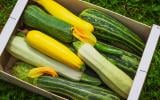 Faut-il garder ou retirer la peau de la courgette ?