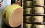 Pourquoi le Parmesan est si bon : tous les secrets de sa production