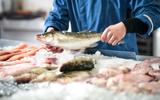 Poissons durables : voici les espèces moins connues à privilégier pour préserver l’océan