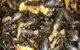 Moules farcies au pain