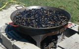 Les moules à la crème et légumes du Sud