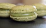 Macarons au thé vert matcha