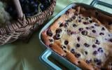 Clafoutis aux raisins frais