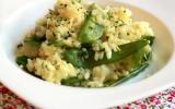 Risotto citron -pois gourmands